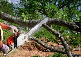 Best Soil Testing and Treatment  in Madera, CA