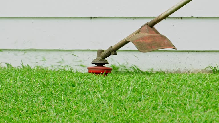 Best Sod Installation  in Madera, CA
