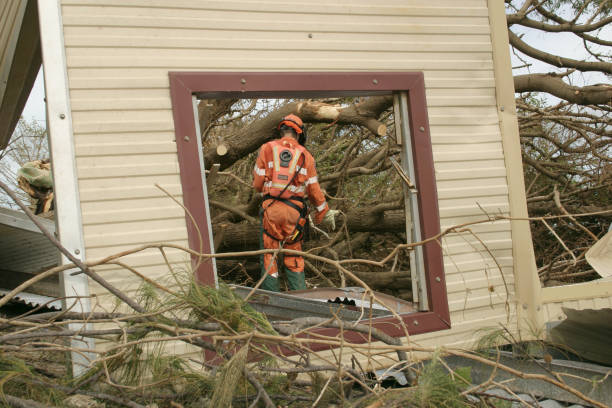 How Our Tree Care Process Works  in  Madera, CA