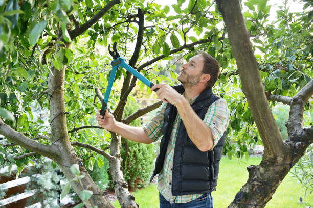 Lawn Watering Services in Madera, CA